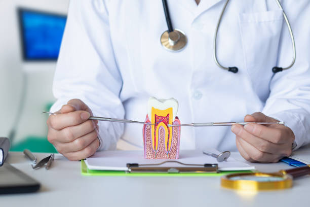 Best Broken or Chipped Tooth Repair in Keowee Key, SC